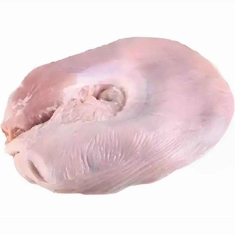 猪肚